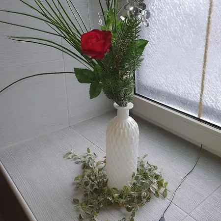 Suzana فوهنسدورف